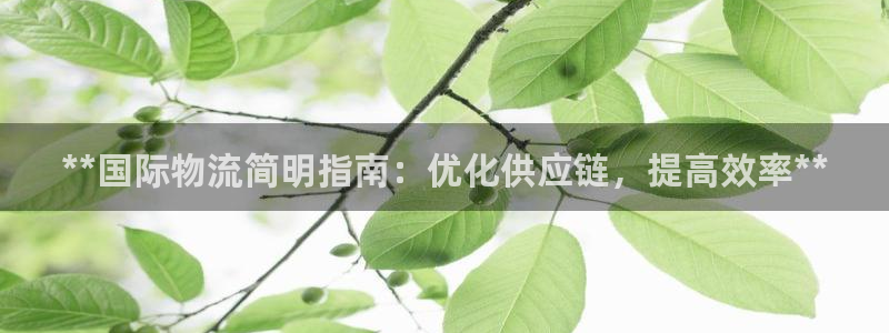 加拿大28圈是什么