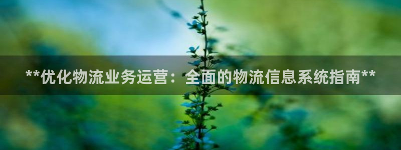 28圈登陆网：**优化物流业务运营：