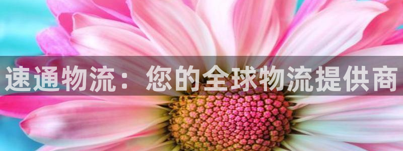 28圈百度百科：速通物流：您的全球物