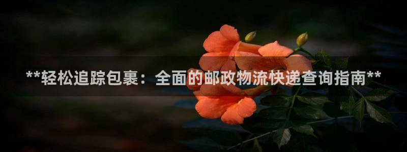28圈官网多少