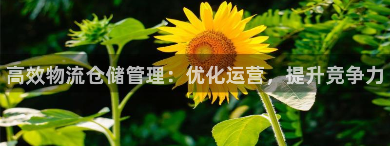 28圈app官网少林足球：高效物流仓