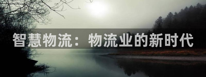 28圈.ccm官网：智慧物流：物流业