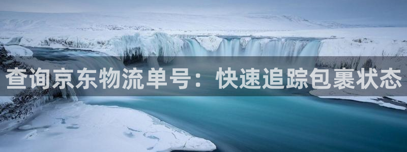 28圈注册号：查询京东物流单号：快速