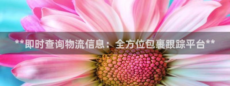28圈pg麻将胡了