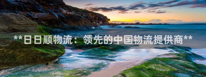28圈龙虎