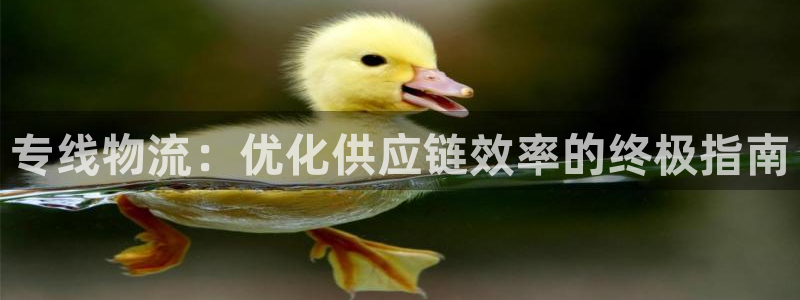 28圈那个才是充值账号