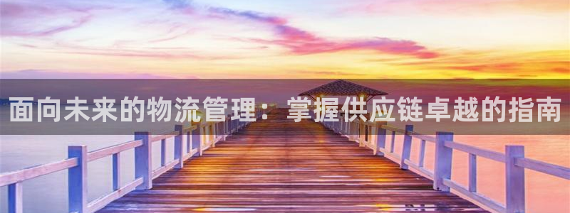 28圈可靠吗：面向未来的物流管理：掌