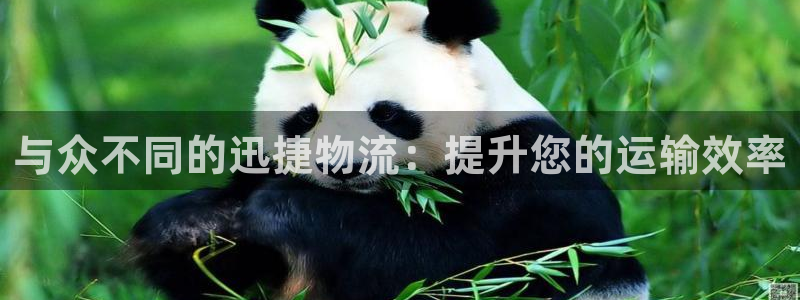 28圈合法吗