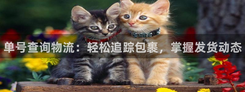 28圈官网版下载：单号查询物流：轻松