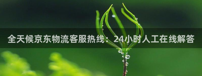 28圈客服电话：全天候京东物流客服热