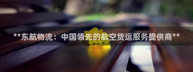 28圈技巧：**东航物流：中国领先的