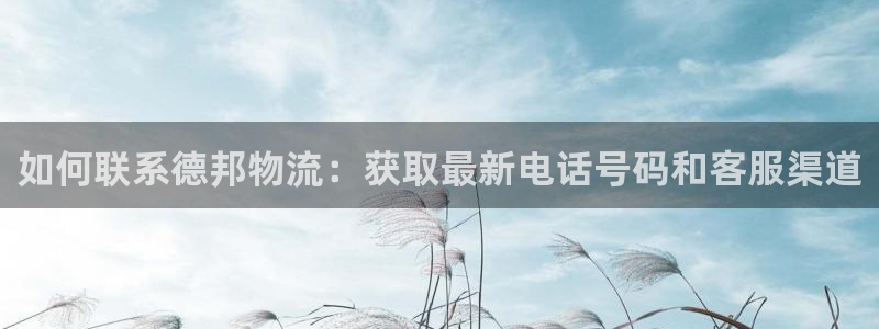 28圈官方网站