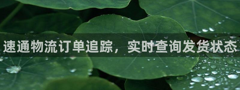 28圈起来的符号：速通物流订单追踪，