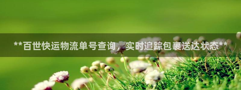 28圈官方版正版