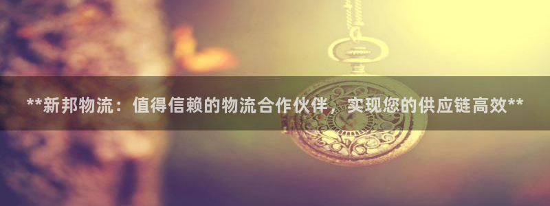 28圈注册登录链接流程：**新邦物流