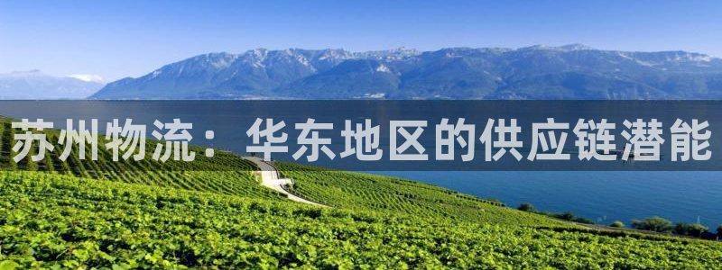 28圈注册网站链接：苏州物流：华东地