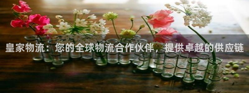 28圈官方版正版