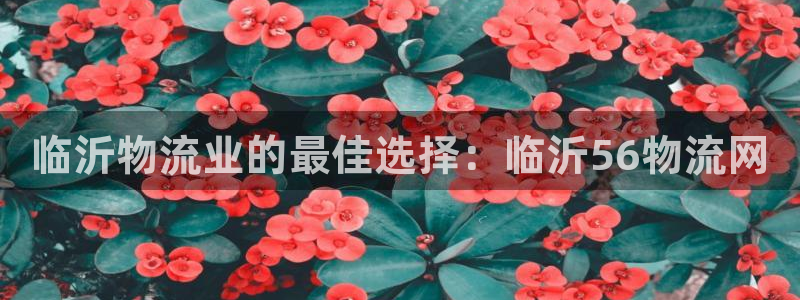 28圈加拿大是什么意思