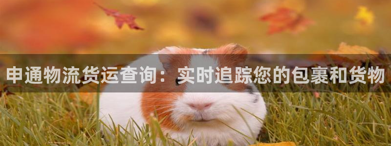 28圈注册官网：申通物流货运查询：实