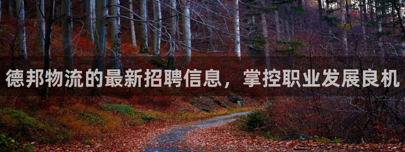 28圈旗下：德邦物流的最新招聘信息，