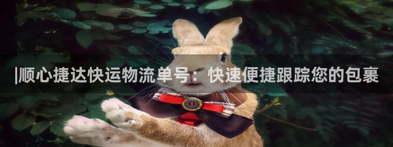 28圈麻将胡了：|顺心捷达快运物流单
