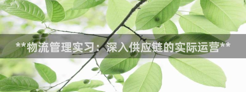 28圈充值不处理怎么办