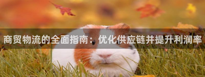 28圈.ccmpc29官网版