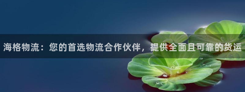 28圈加拿大在线预测：海格物流：您的