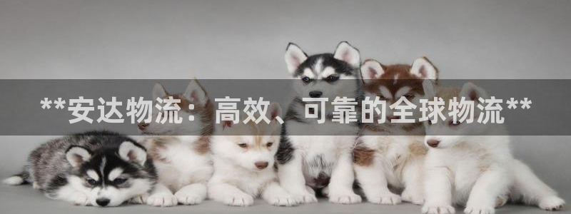 28圈登录流程：**安达物流：高效、