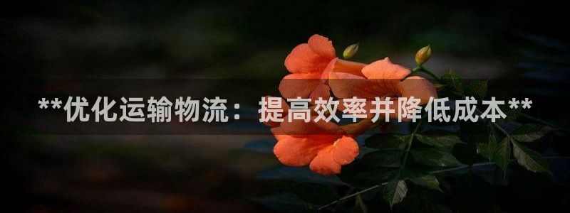 28圈加拿大28