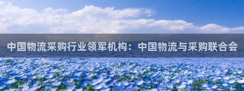 28圈加拿大模拟器：中国物流采购行业