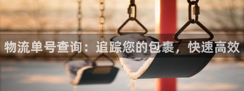 28圈流水怎么算：物流单号查询：追踪