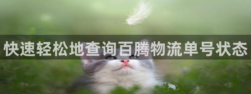 28圈黑钱