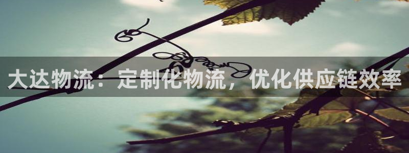 28圈充值不到账：大达物流：定制化物