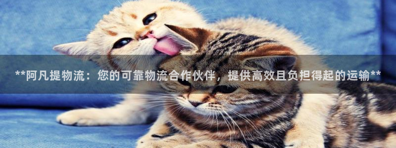 28圈新用户怎么注册：**阿凡提物流