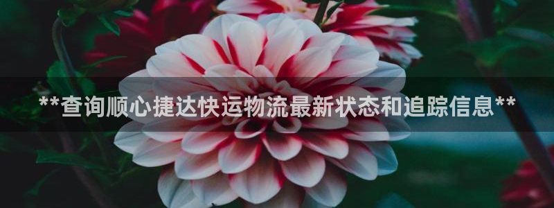 28圈吧：**查询顺心捷达快运物流最