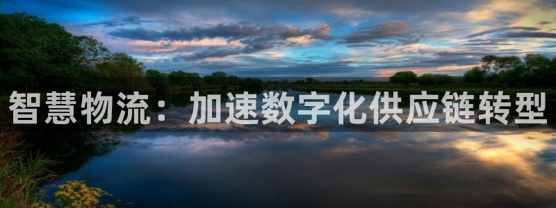 28圈登录流程：智慧物流：加速数字化
