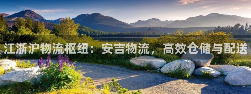 28圈ip被限制怎么解决：江浙沪物流