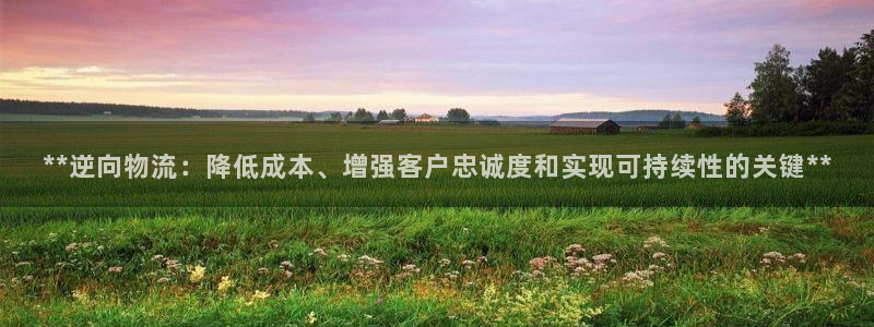 28圈登录网：**逆向物流：降低成本