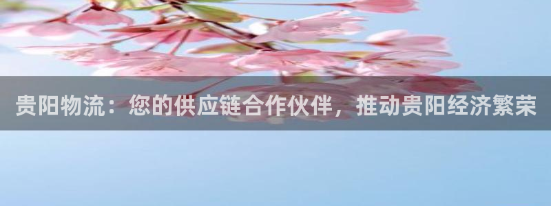 28圈官方网站：贵阳物流：您的供应链