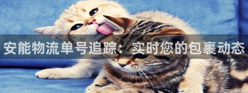 28圈账号注册：安能物流单号追踪：实
