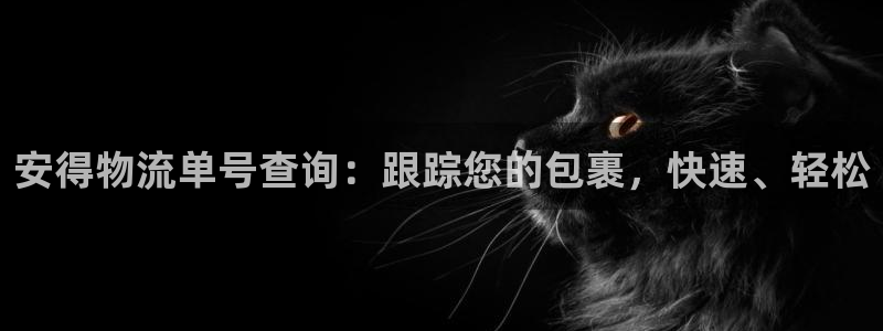 28圈在线预测：安得物流单号查询：跟