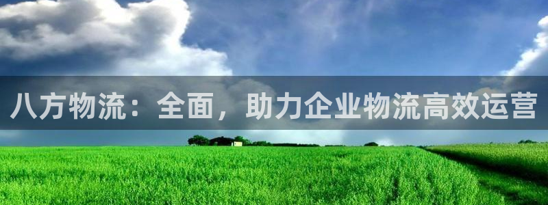 28圈官方平台：八方物流：全面，助力