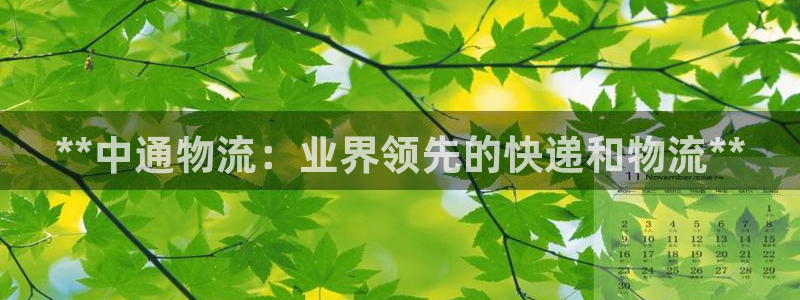 28圈注册网站链接：**中通物流：业