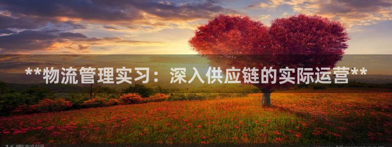 28圈注册链接教程：**物流管理实习
