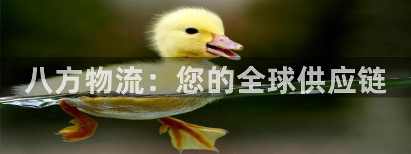 28圈初始资金密码是什么：八方物流：