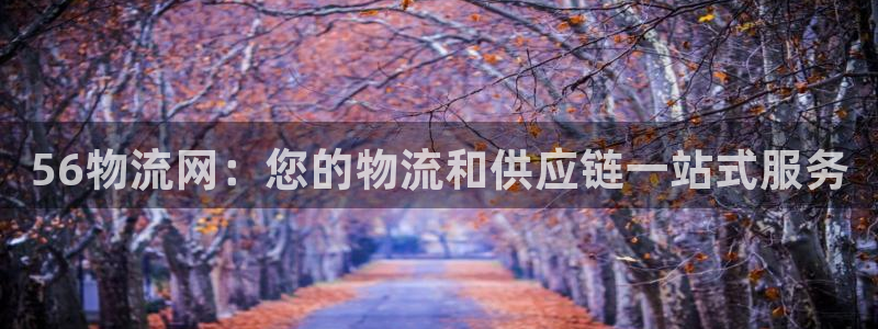 28圈软件堵什么反什么