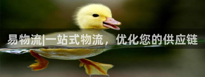 28圈.ccm南宫：易物流|一站式物