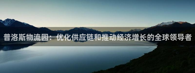 28圈百度百科：普洛斯物流园：优化供