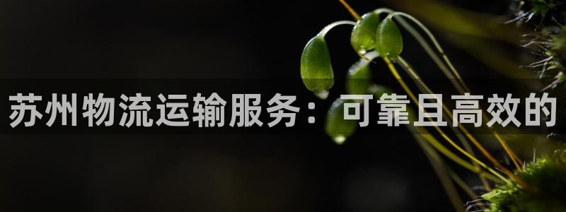 28圈登录：苏州物流运输服务：可靠且